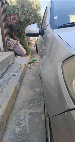 رينو ساندرو